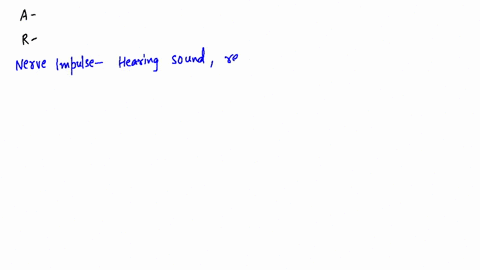 assertion-after-hearing-a-sound-the-nerve-impulse-passes-from-neurons-to-the-brain-reason-the-neuron