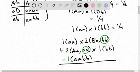 a-dihybrid-cross-involves-two-traits-a-cross-of-parental-types-aabb-and-aabb-can-be-represented-with