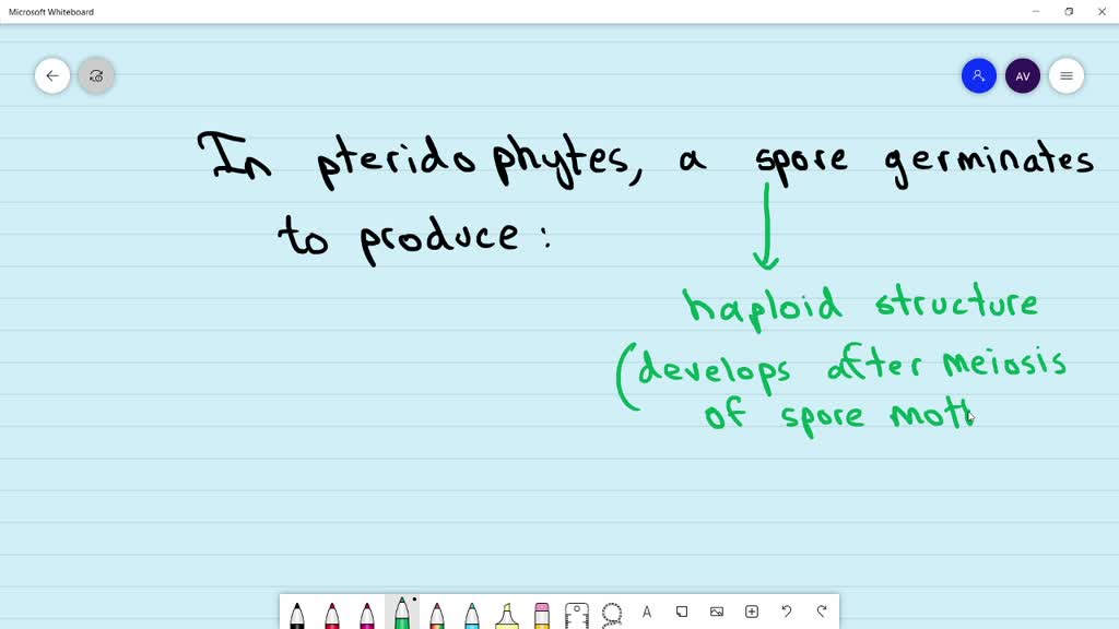 SOLVEDIn pteridophytes a spore germinates to produce (a) sporophyte (b