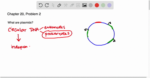 what-is-a-plasmid-a-an-organelle-found-in-many-bacteria-and-certain-eukaryotes-b-a-circular-dna-mole