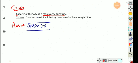 assertion-glucose-is-a-respiratory-substrate-reason-glucose-is-oxidised-during-process-of-cellular-r
