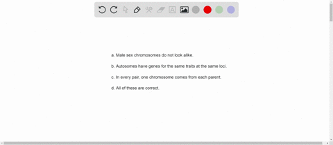 which-of-the-following-statements-about-chromosomes-is-correct-a-male-sex-chromosomes-do-not-look-al