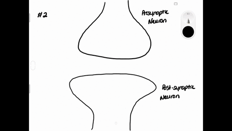 the-tiny-space-between-the-axon-of-one-neuron-and-the-dendrite-or-cell-body-of-another-is-called-the