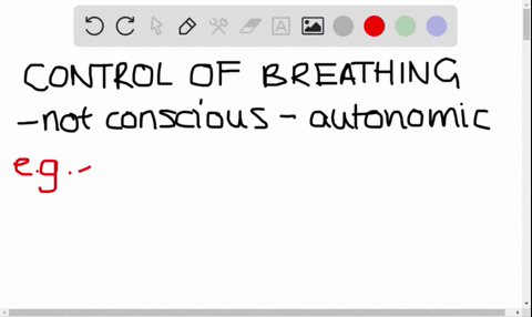 in-humans-the-rate-of-breathing-is-primarily-controlled-by-the-a-lungs-b-cerebrum-c-medulla-oblongat