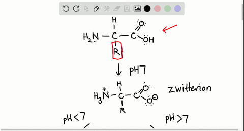 explain-why-an-amino-acid-will-not-exist-in-an-un-ionized-form-at-any-ph