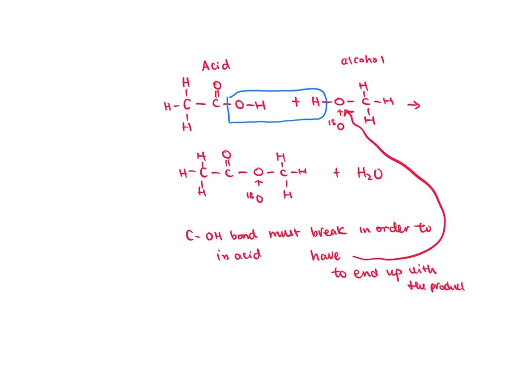 SOLVEDMethyl acetate (CH3 COOCH3) is formed by the reaction of acetic