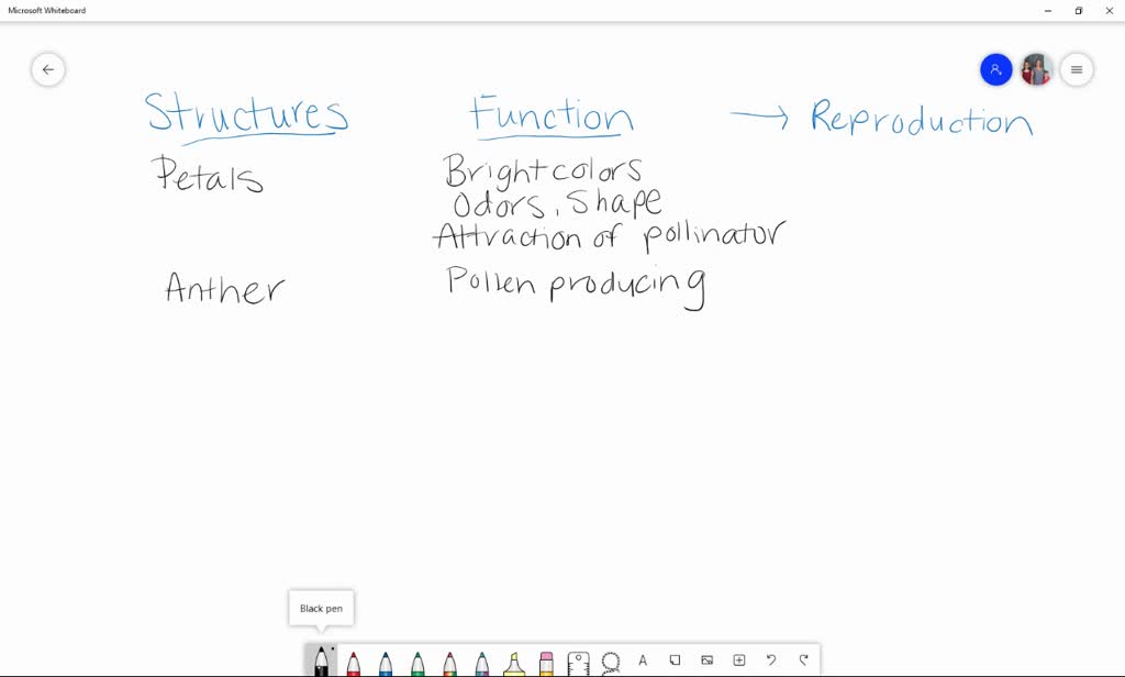 short essay 150 words