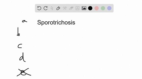 which-statement-concerning-sporotrichosis-is-false-a-it-is-characterized-by-ulcerating-lesions-along