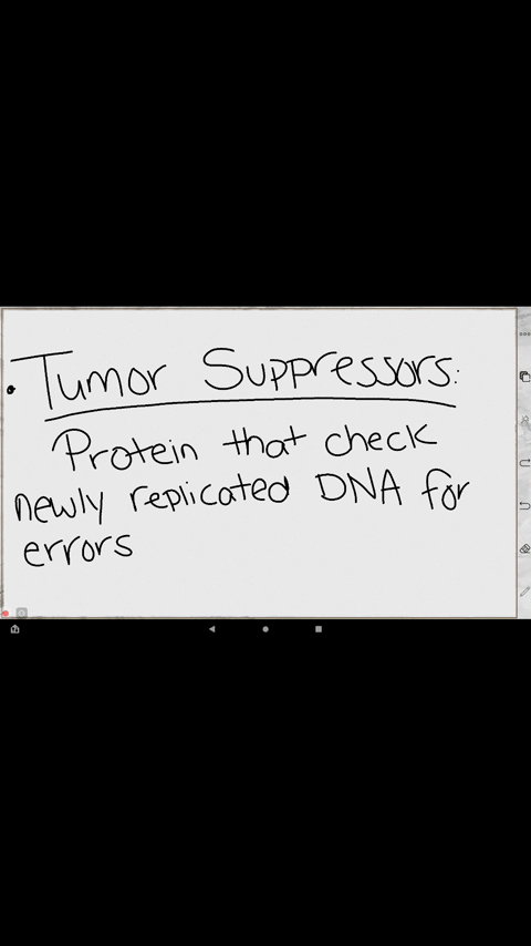 what-is-the-cellular-function-of-tumor-suppressors
