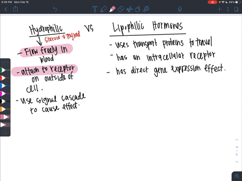 second-messengers-are-activated-in-response-to-a-steroid-hormones-b-thyroxine-c-hydrophilic-hormones