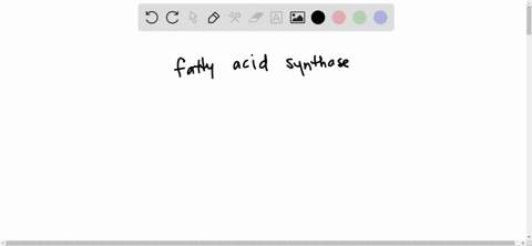 a-what-is-the-name-of-the-first-enzyme-in-fatty-acid-synthesis-b-what-does-it-do-3