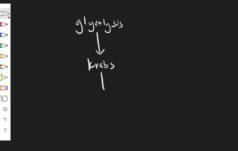 which-is-not-a-stage-of-cellular-respiration-a-glycolysis-b-krebs-cycle-c-electron-transport-chain-d