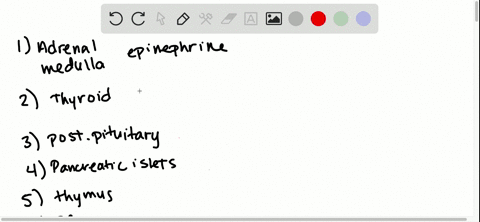 match-the-term-listed-at-left-with-the-most-suitable-description-at-right-text-________adrenal-medul