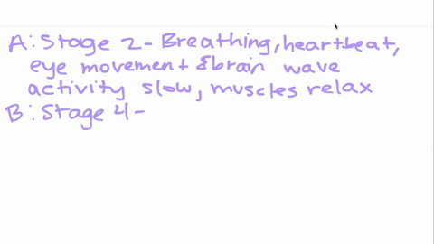in-the-deepest-stage-of-sleep-the-brain-emits-large-slow-waves-this-deep-stage-of-sleep-is-called-a-