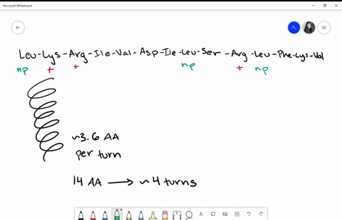 consider-the-following-protein-sequence-as-an-alpha-helix-leu-lys-arg-ile-val-asp-ile-leu-ser-arg-le
