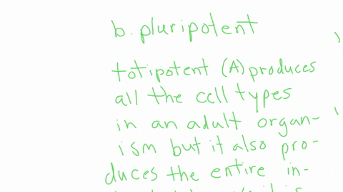 an-embryonic-stem-cell-that-can-give-rise-to-any-type-of-cell-of-an-adult-organism-but-cannot-prod-2