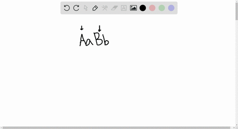 what-possible-gametes-can-be-produced-by-a-a-b-b-a-a-a-b-b-b-a-a-b-b-c-a-b-a-b-d-a-b-a-b-a-b-a-b