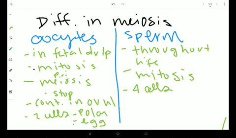 identify-some-differences-between-meiosis-in-men-and-women