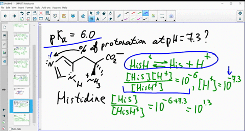 what-is-the-percent-protonation-of-the-imidazole-nitrogen-atom-in-histidine-at-a-physiological-ph-of