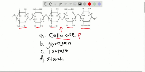 Solved:plant Cell Walls Contain Which Of The Following In Abundance? A.  Cellulose B. Glycogen C. Lactose D. Starch Solved:plant Cell Walls Contain Which Of The Following In Abundance? A.  Cellulose B. Glycogen C. Lactose D. Starch