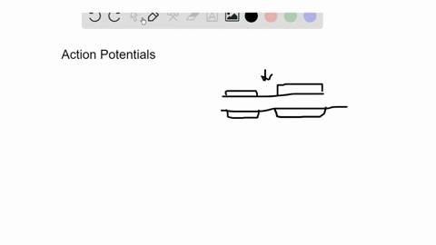in-a-myelinated-axon-how-would-the-action-potential-be-affected-if-the-nodes-were-much-closer-toge-3