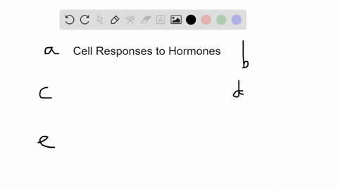 in-the-sequence-that-unfolds-after-molecules-of-a-hormone-such-as-aba-bind-to-receptors-at-the-sur-2