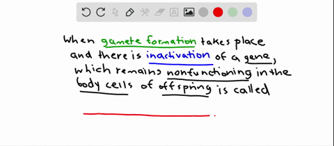 when-a-gene-is-inactivated-during-gamete-formation-and-that-gene-is-maintained-in-an-inactivated-sta