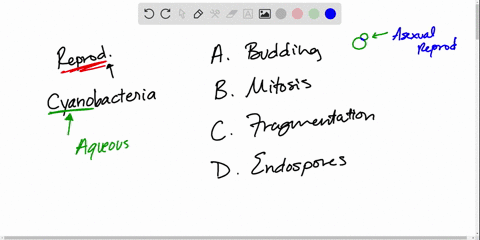 filamentous-cyanobacteria-often-divide-by-which-of-the-following-a-budding-b-mitosis-c-fragmentation
