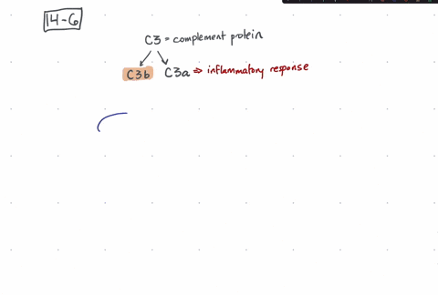 a-pathogen-that-can-avoid-the-complement-component-mathrmc-3-mathrmb-would-directly-protect-itself-f