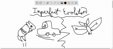 evolution-connection-using-at-least-two-examples-explain-how-the-process-of-evolution-is-revealed-by