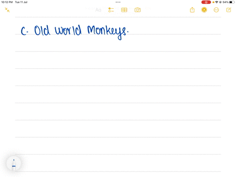 a-hominid-includes-all-of-the-following-except-a-chimpanzees-b-orangutans-c-old-world-monkeys-d-gori