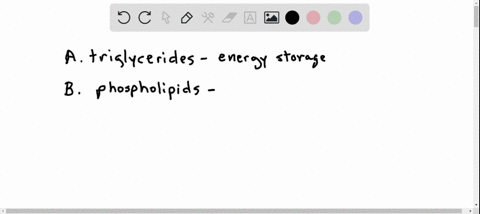 list-an-important-function-of-each-of-these-types-of-lipids-a-triglycerides-c-waxes-b-phospholipids-