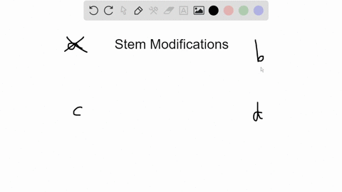 which-of-the-following-is-not-a-modified-stem-a-a-tuber-b-a-rhizome-c-a-stolon-d-a-bract