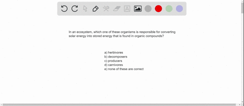 in-an-ecosystem-these-organisms-are-responsible-for-converting-solar-energy-to-the-stored-energy-f-2