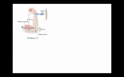 a-person-exerts-a-horizontal-force-of-190-n-in-the-test-apparatus-shown-in-the-drawing-find-the-hori