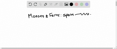 the-sperm-of-______________-swim-to-eggs-a-mosses-c-conifers-b-ferns-d-a-and-b