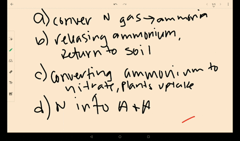 nitrifying-bacteria-participate-in-the-nitrogen-cycle-mainly-by-a-converting-nitrogen-gas-to-ammonia