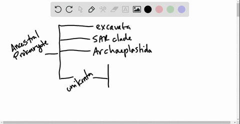 applicationanalysis-evolution-connection-draw-it-medical-researchers-seek-to-develop-drugs-that-can-