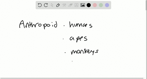 which-of-the-following-is-not-an-anthropoid-a-lemurs-b-monkeys-c-apes-d-humans