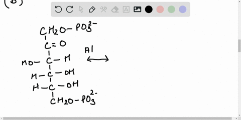 which-carbon-atoms-of-glucose-end-up-as-a-carboxyl-group-in-pyruvate