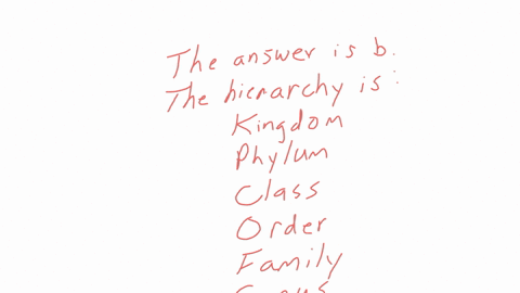 which-category-falls-immediately-below-class-in-the-systematic-hierarchy-a-species-b-order-c-famil-4
