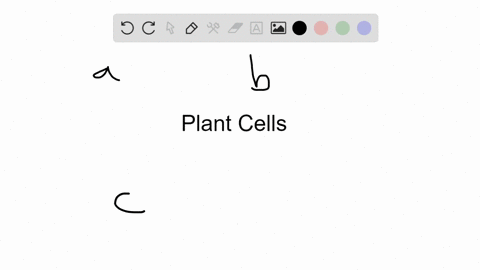 _____-connect-the-cytoplasm-of-plant-cells-a-plasmodesmata-b-adhering-junctions-a-plasmodesmata-b-ad