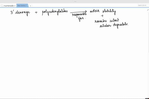 a-geneticist-induces-a-mutation-in-a-cell-line-growing-in-the-laboratory-the-mutation-occurs-in-a-ge