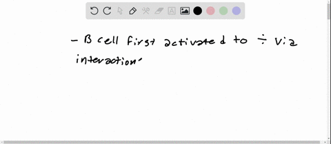 what-steps-are-required-for-most-b-cells-to-become-fully-activated-and-differentiate-into-plasma-cel