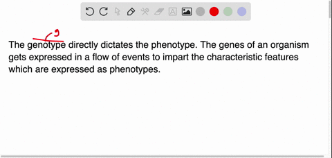 what-is-the-relationship-between-genotype-and-phenotype-2