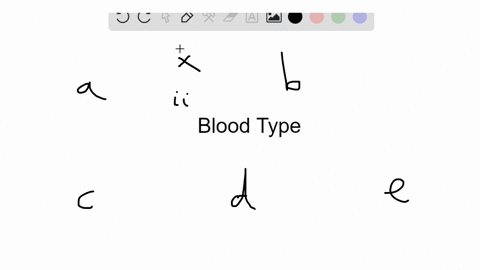 if-a-child-has-type-mathrmo-blood-and-the-mother-is-type-mathrma-then-which-of-the-following-might-2