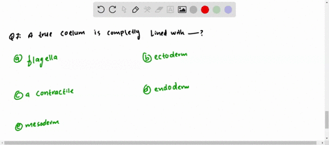 a-true-coelom-is-completely-lined-with-a-flagella-b-ectoderm-c-a-contractile-layer-d-endoderm-e-meso
