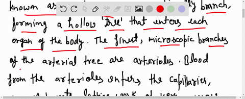 which-of-the-following-is-the-correct-sequence-of-events-in-the-circulation-of-blood-a-quad-heart-lo