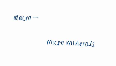 distinguish-between-macrominerals-and-microminerals-2