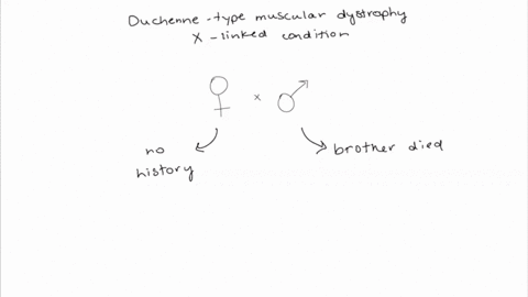 as-a-genetic-counselor-you-routinely-advise-couples-about-the-possibility-of-genetic-disease-in-thei